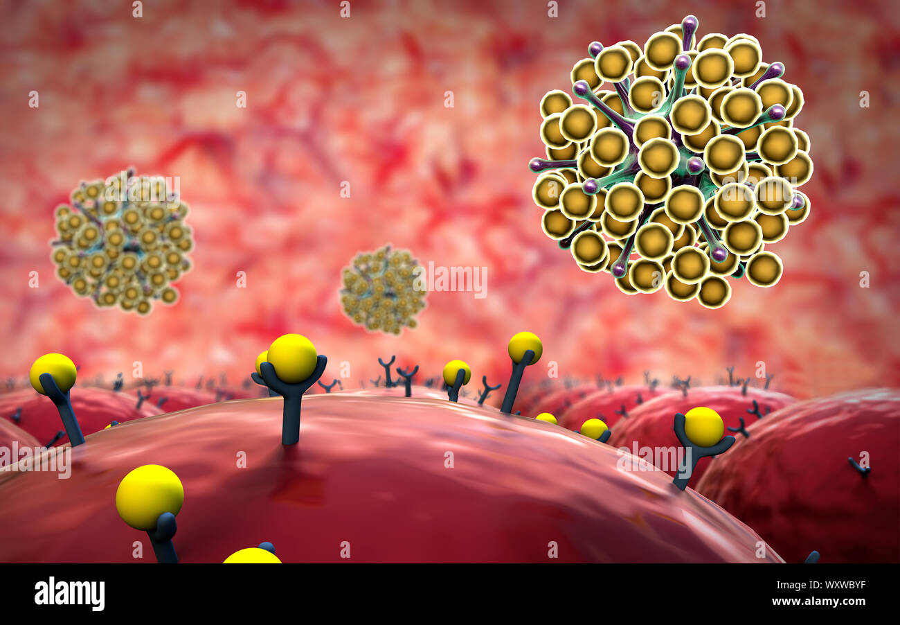 Campo delle celle, campo di cellule con recettori, sistema immunitario umano l'attacco di virus Foto Stock