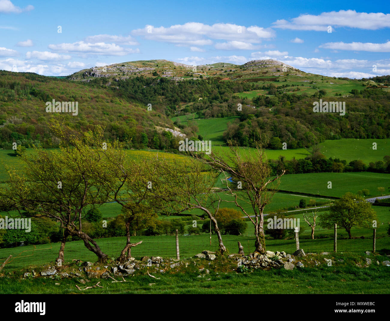 Guardando verso sud est attraverso il Fiume Alyn valle verso Bryn Alyn cresta di calcare e pavimentazione. Gamma Clwydian, Denbighshire, il Galles del Nord. Foto Stock