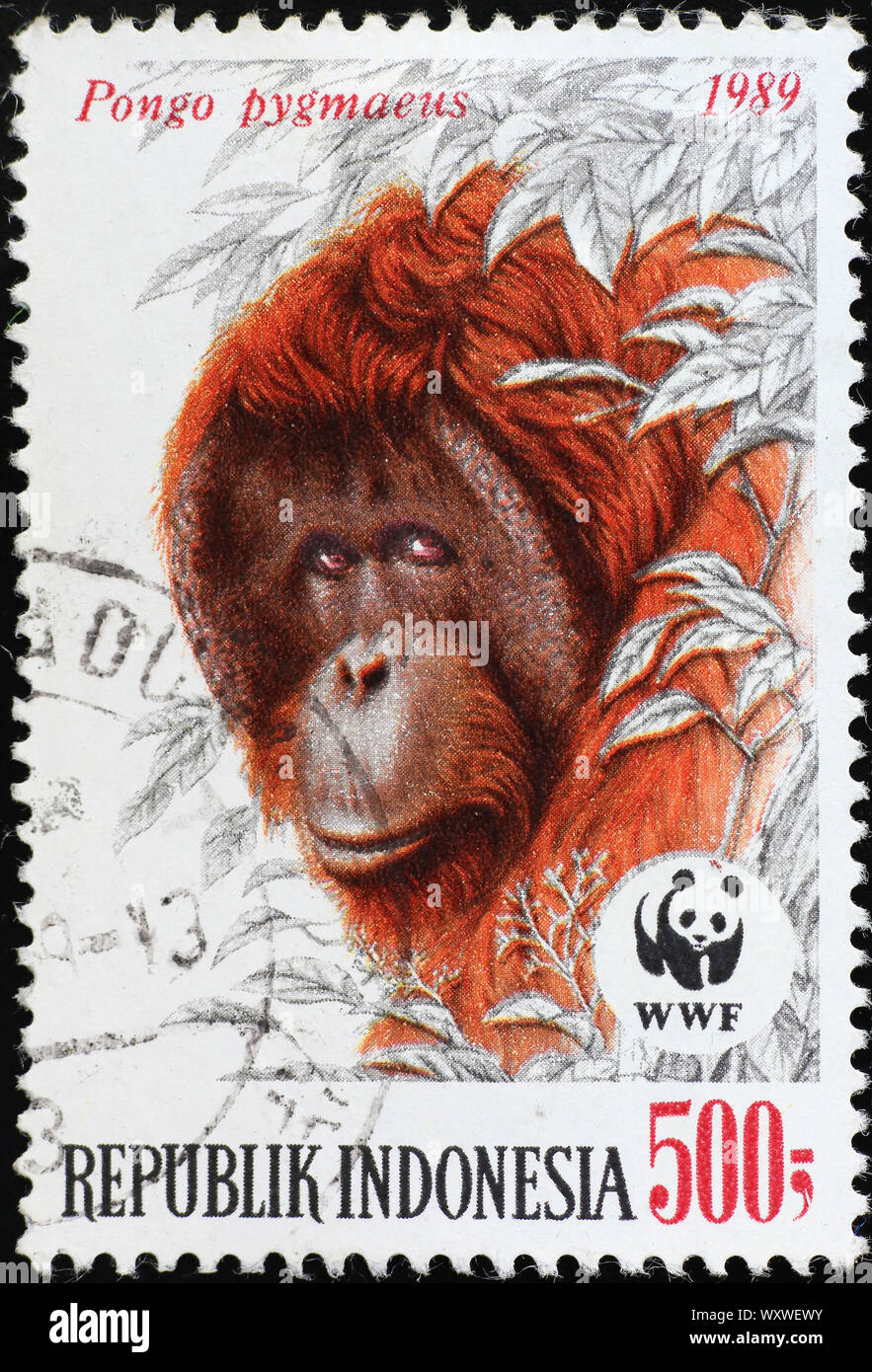 Ritratto orangutan in Indonesia francobollo Foto Stock