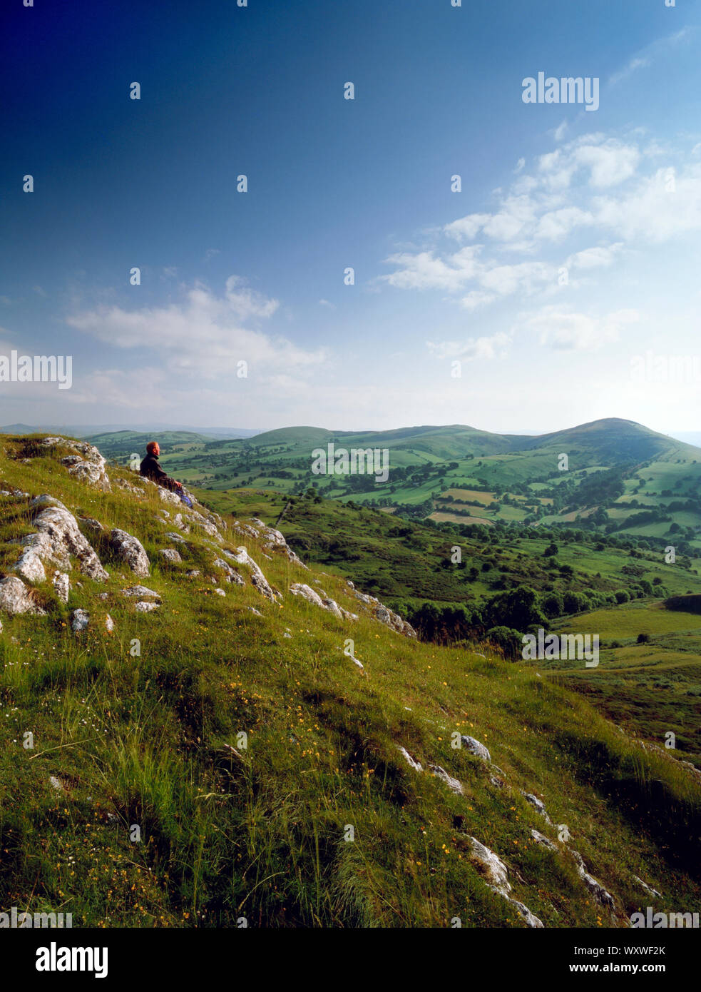 Vista dal bordo ovest /vertice di Bryn Alyn calcare ridge, sopra la valle di Alyn al 3 le colline a sud della gamma Clwydian, Galles del Nord, Regno Unito Foto Stock