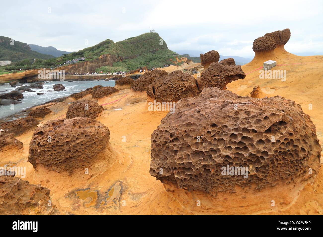 Paesaggio di Taiwan - bizzarre formazioni rocciose a Yehliu Geoparco vicino a Taipei. Foto Stock