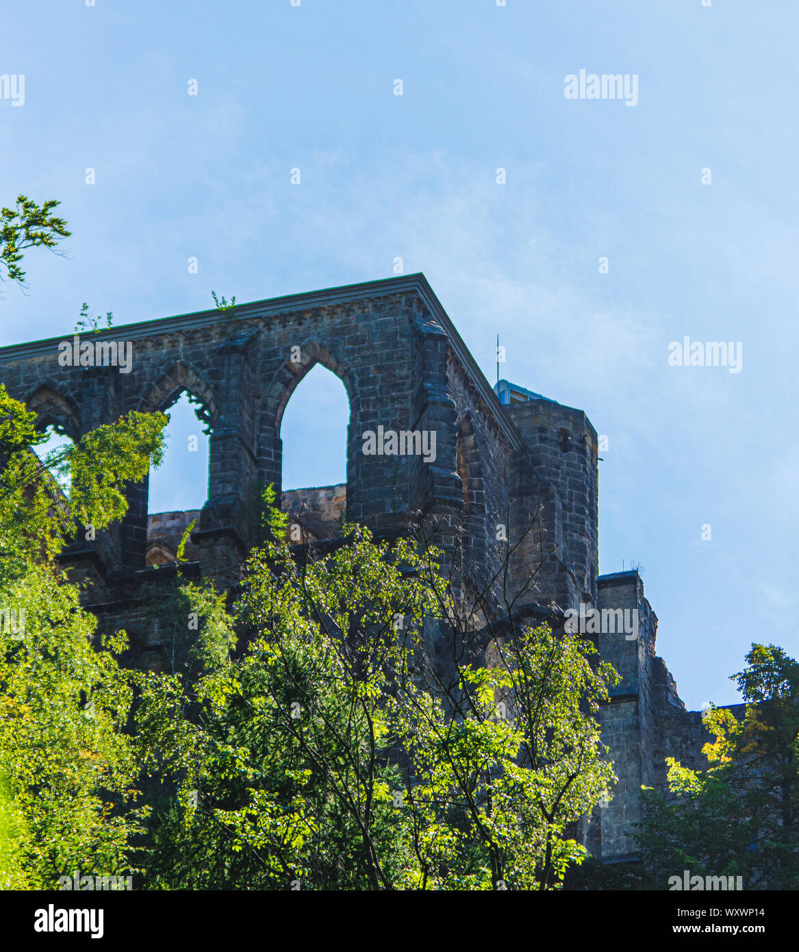 Le rovine del monastero si trova sulla collina di Oybin in Sassonia / Germania Foto Stock