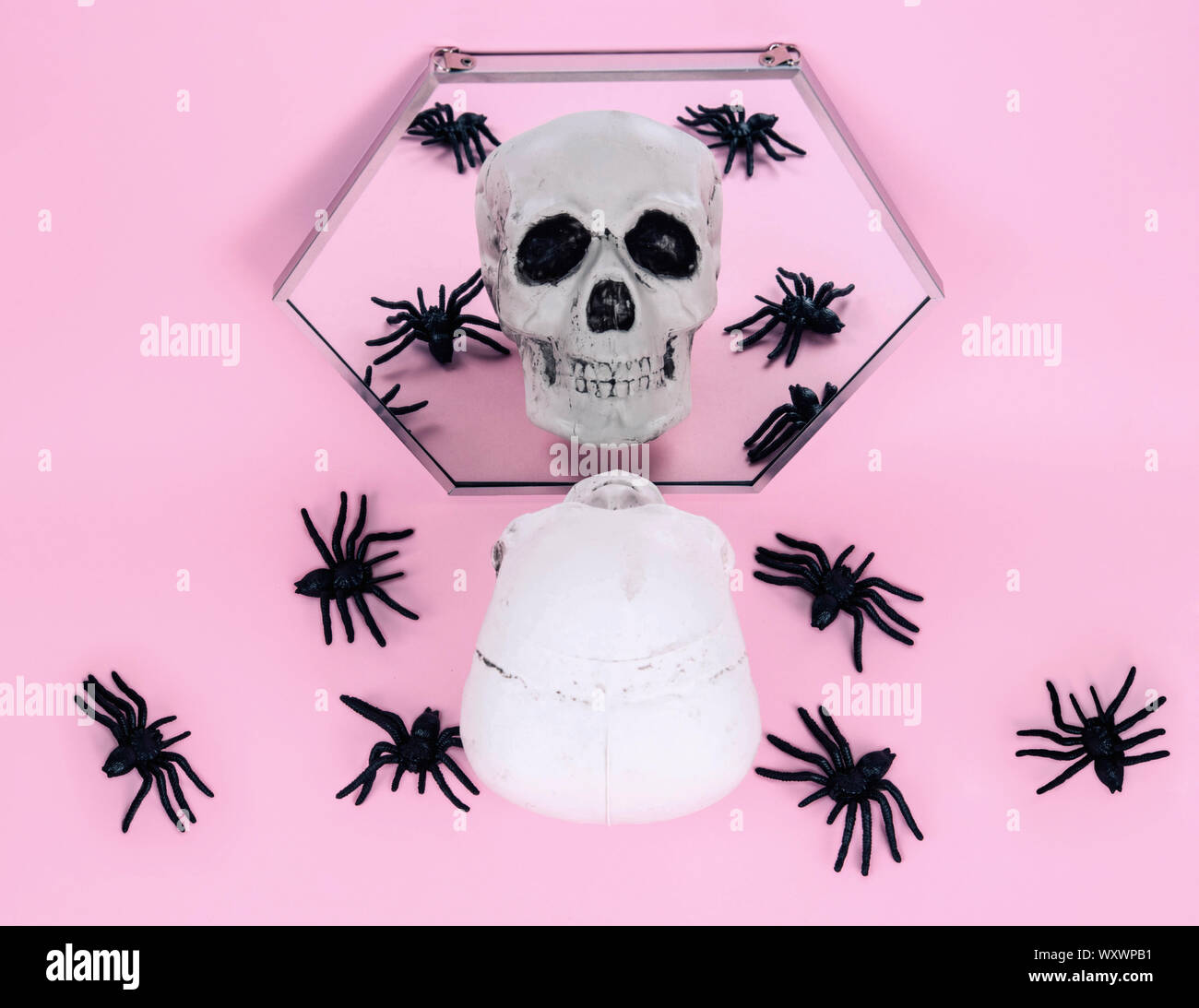 Teschio sul trendy rosa pastello sfondo. Foto Stock
