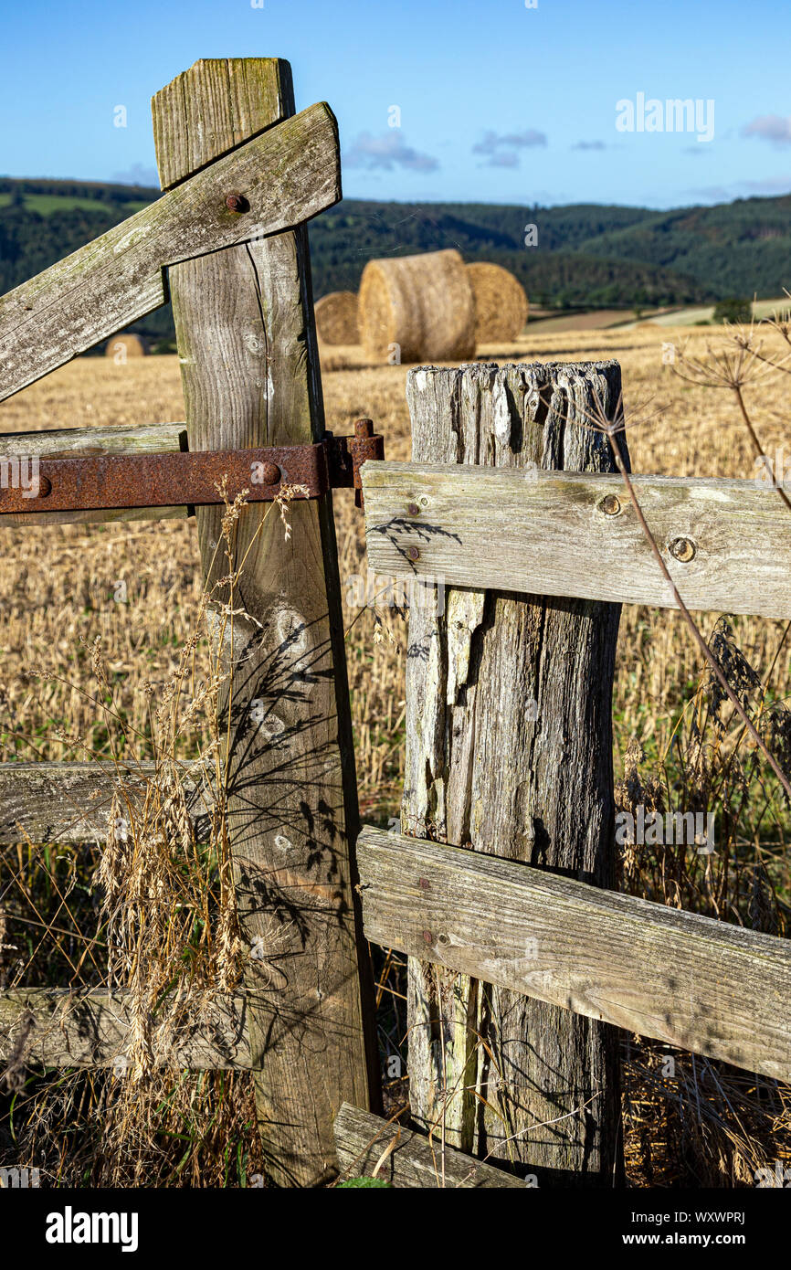 Recinzione, legno - Materiale, anteriore o posteriore in cantiere, legname, Privacy, Nuovo modello a griglia, Sky, vita domestica, erba, nessun popolo, boiserie in legno, moderno, residenti Foto Stock