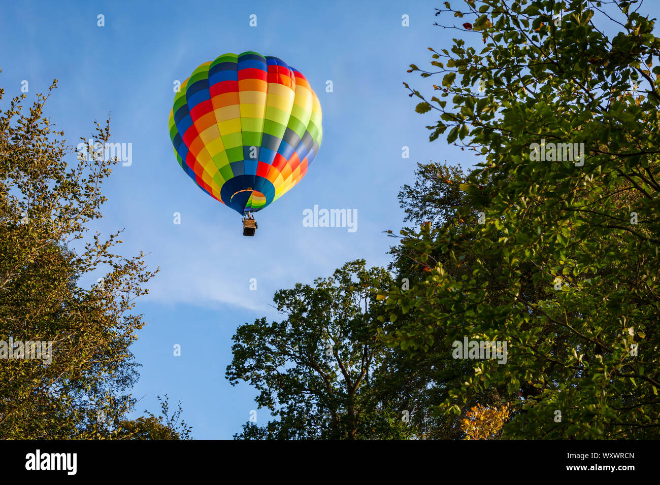 Colorato palloncino, incorniciato da alberi autunnali contro un cielo blu Foto Stock