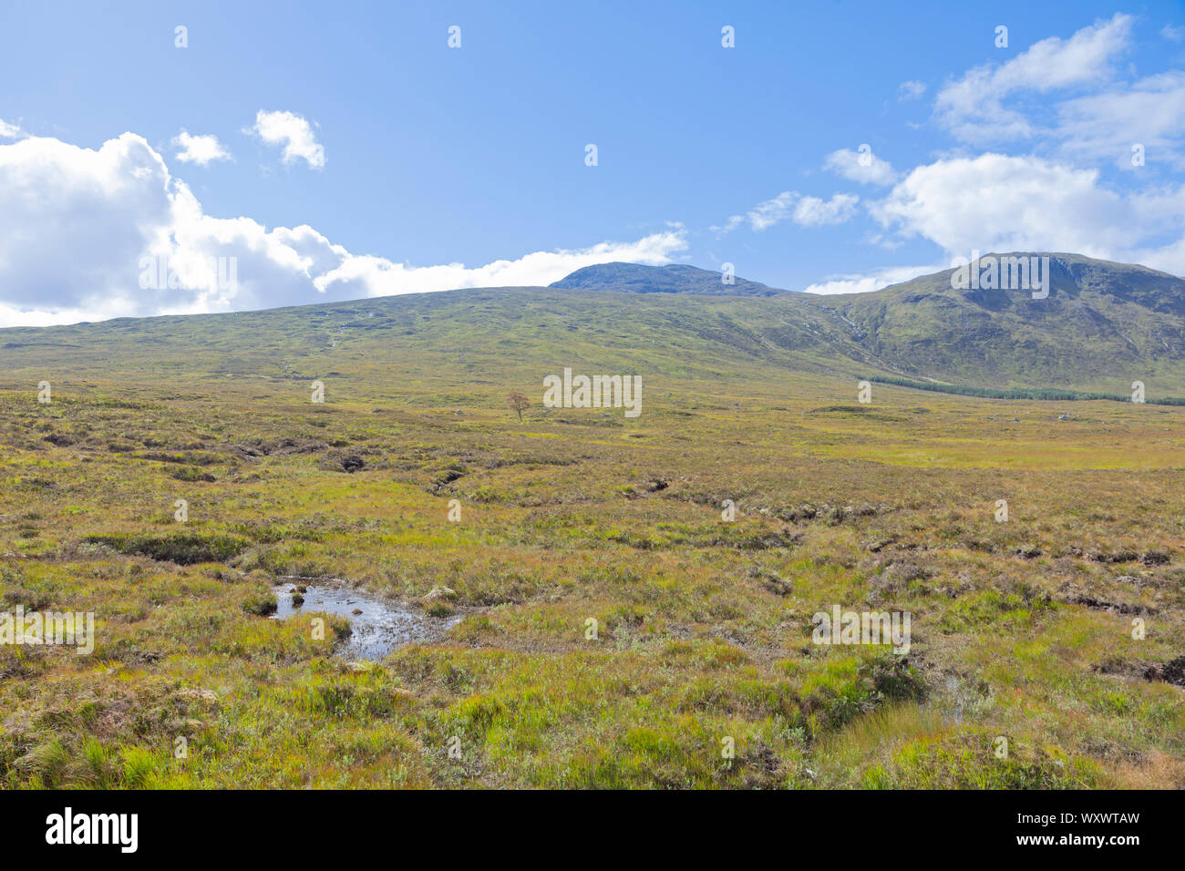 Regno Unito, Scozia, Argyll, Glen Coe nelle Highlands scozzesi Foto Stock