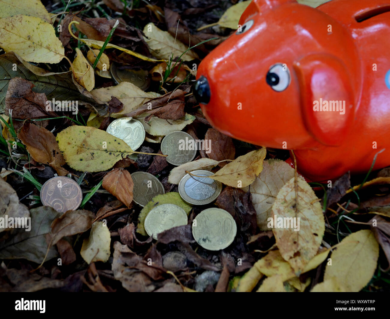 La porcellana salvadanaio e monete in autunno Foto Stock
