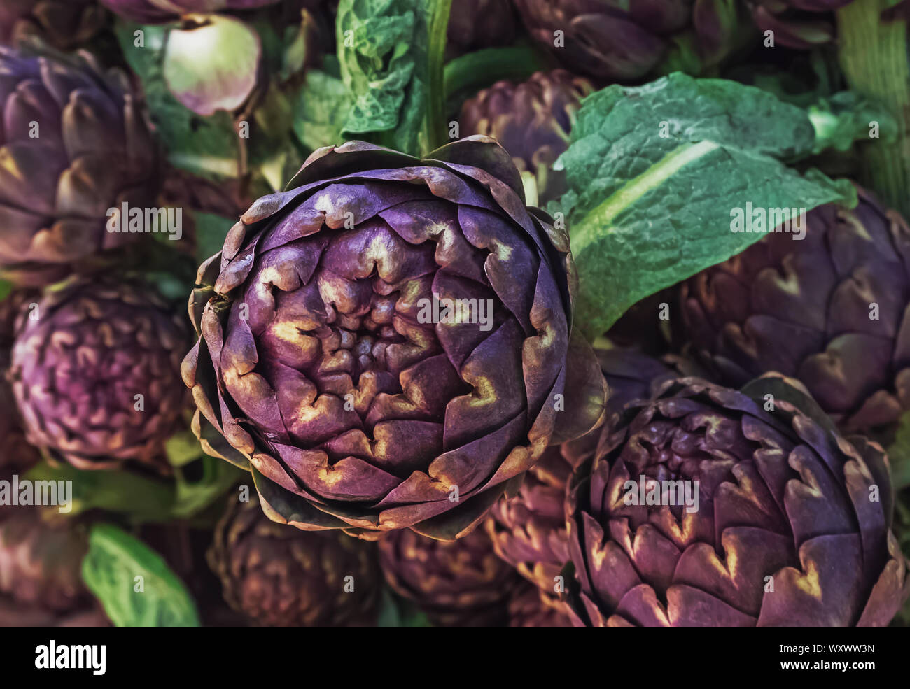 Freschi di carciofi viola sul mercato degli agricoltori di close-up Foto Stock