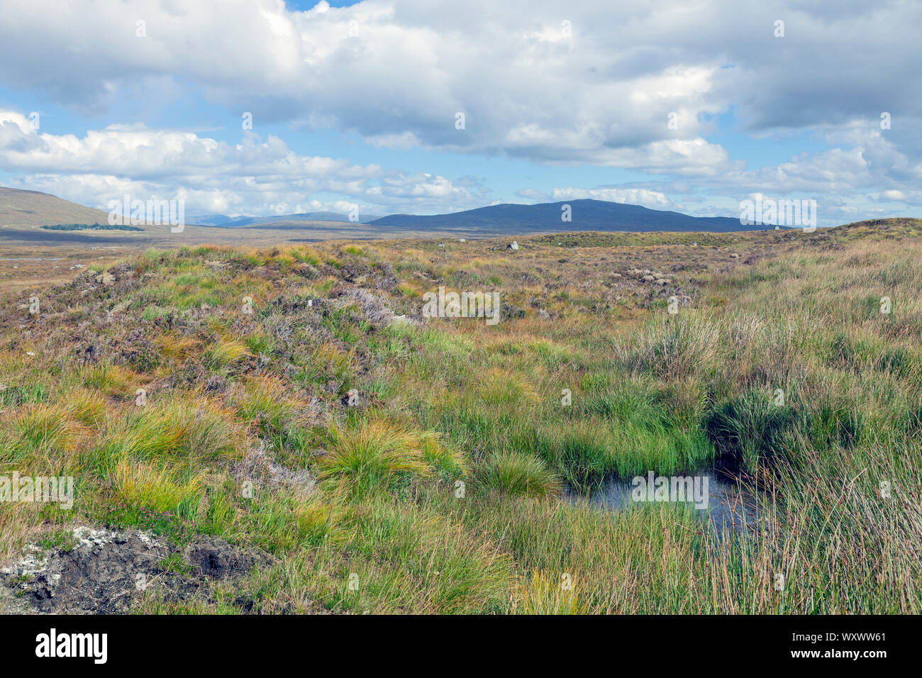 Regno Unito, Scozia, Argyll, Glen Coe nelle Highlands scozzesi Foto Stock