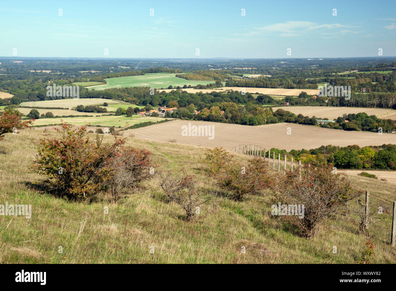 Vista su Hampshire terreni agricoli campagna dalla sommità di Beacon Hill, Burghclere, Hampshire, Inghilterra, Regno Unito, Europa Foto Stock