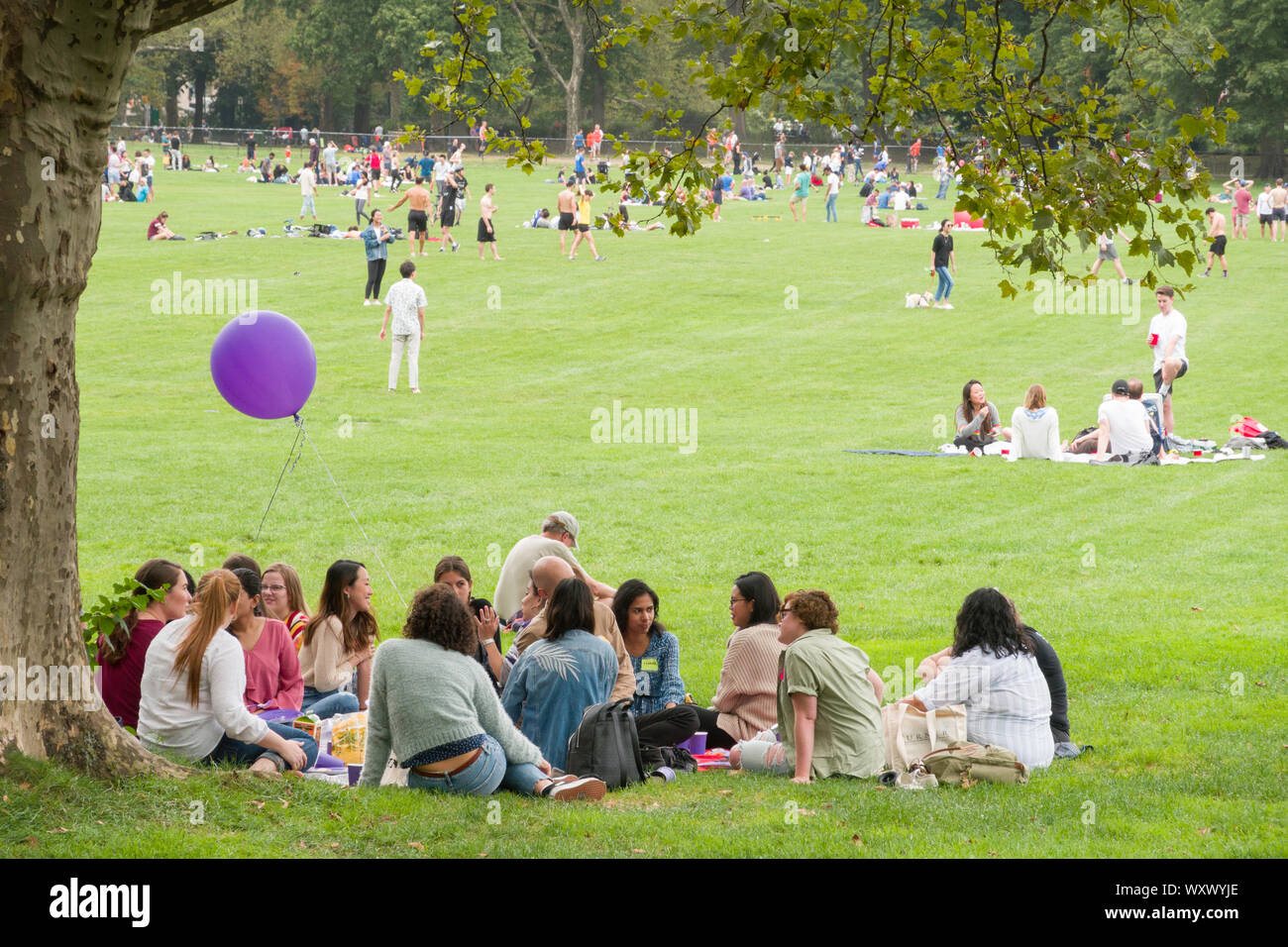 Le persone che si godono le pecore prato in Central Park, New York, Stati Uniti d'America Foto Stock