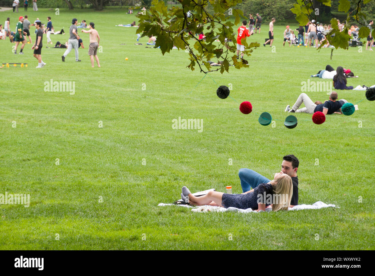 Le persone che si godono le pecore prato in Central Park, New York, Stati Uniti d'America Foto Stock