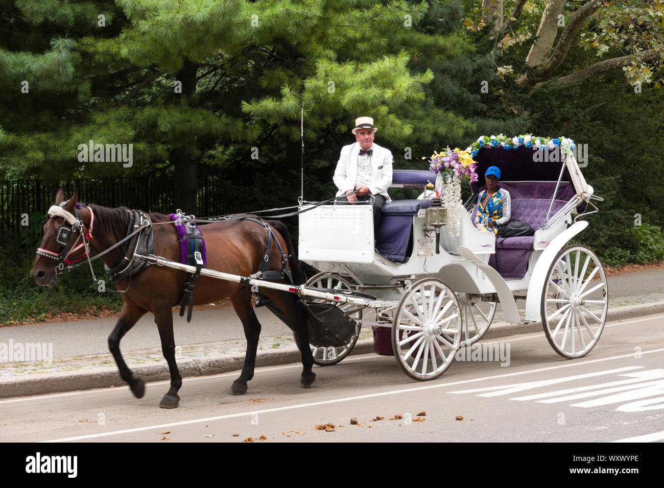 Cavallo e Carrozza nel Central Park di New York Foto Stock