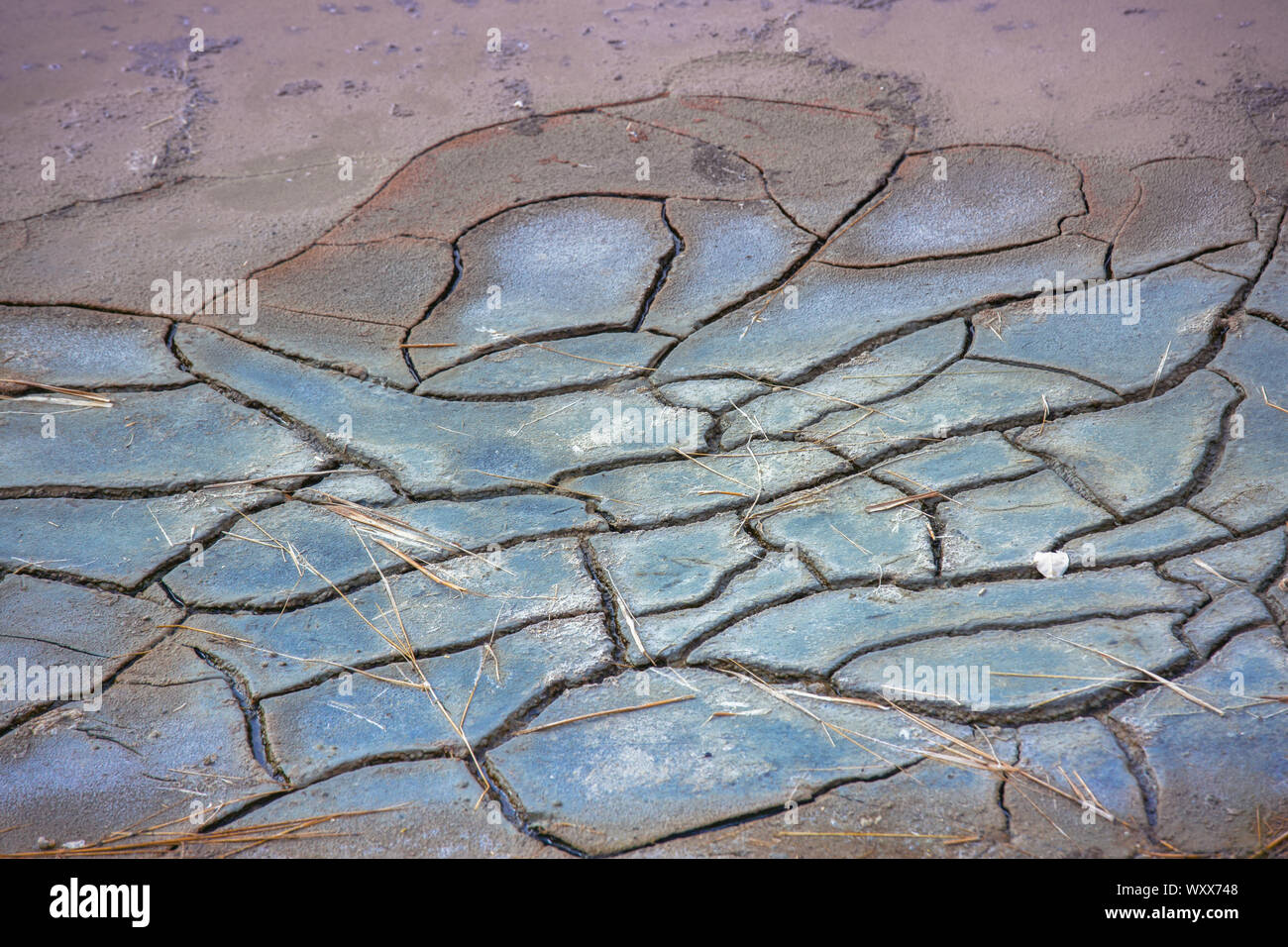 Chiudere fino in terra incrinato saline Foto Stock