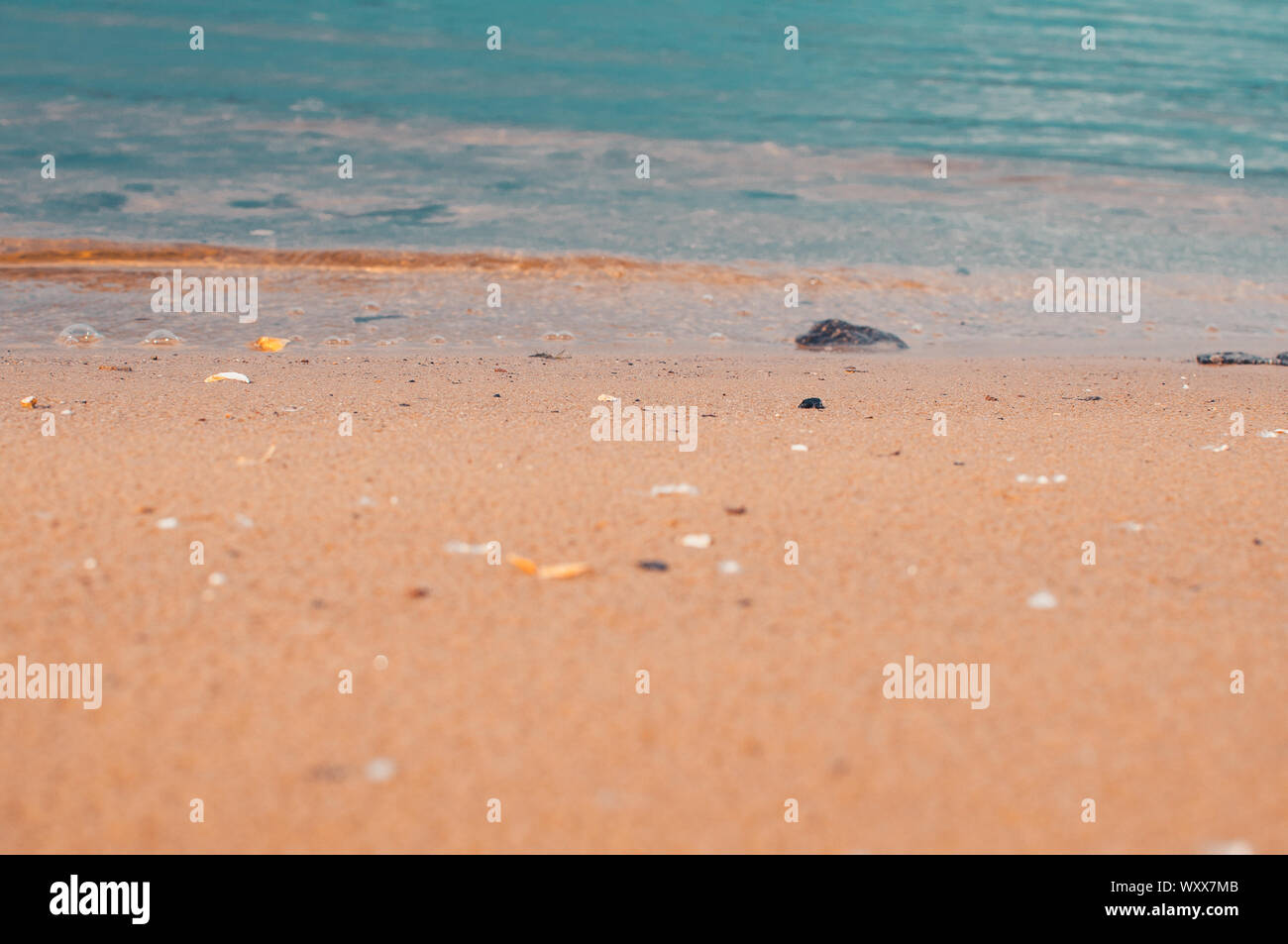 Mare spiaggia nei tropici e la morbida onda del blu dell'oceano. Estate giornata uggiosa e la spiaggia di sabbia con pietre dello sfondo. Il concetto di vacanze estive Foto Stock