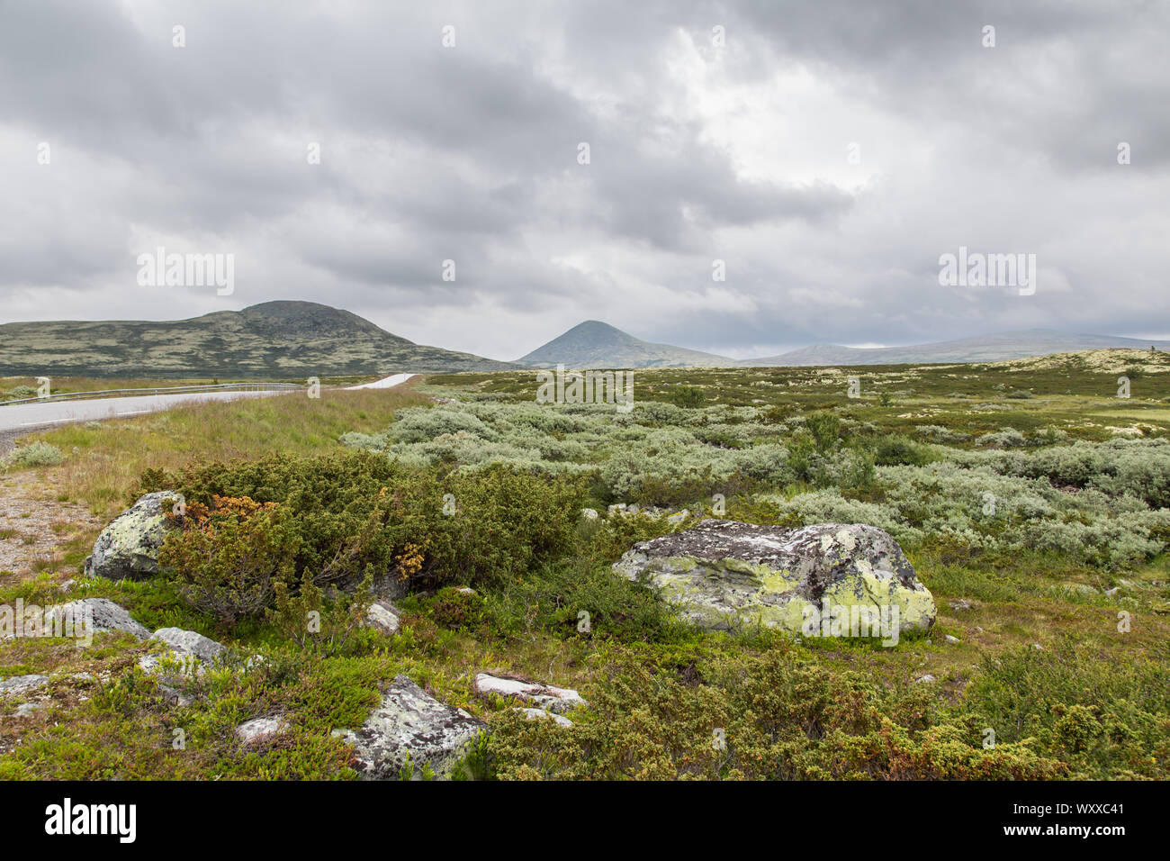 Paesaggio Rondane National Park in Oppland Norvegia Foto Stock