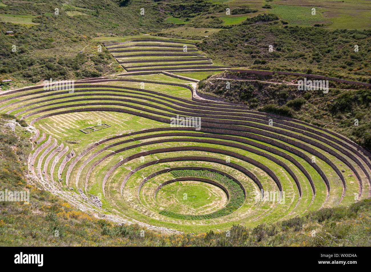 Colture di Moray si affacciano da sopra, Cusco, Perù Foto Stock