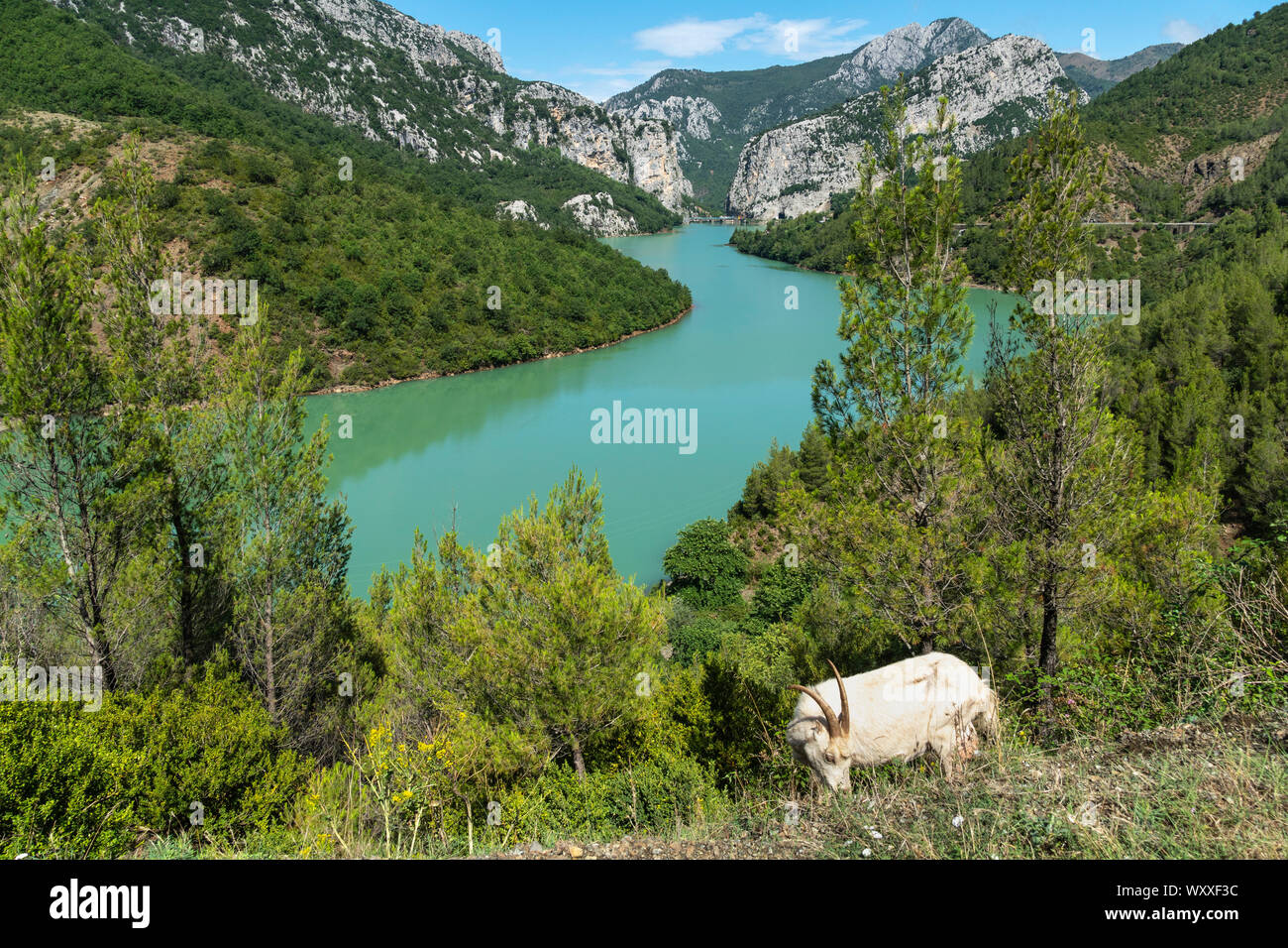 Guardando attraverso il Fiume Mat in Ulza Parco naturale regionale, sul confine di Dibër e Lezhe countiies, centrale l'Albania, Foto Stock