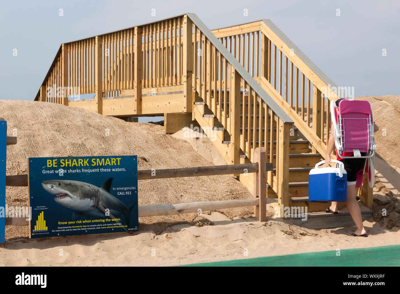 Shark segno di avvertimento inviato in ingresso sulla spiaggia in Truro, Massachusetts. Foto Stock