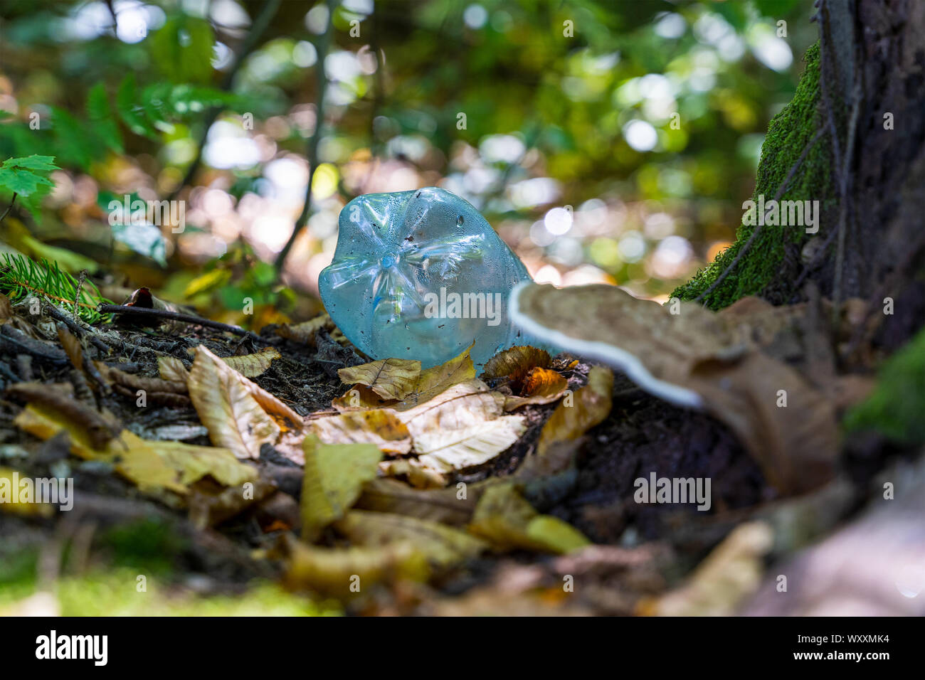 Un blu acqua vuoto bottiglia viene gettato via. Tali rifiuti di plastica è un problema generale in una zona urbana ma anche che si trovano nelle foreste regolarmente, che è un im Foto Stock