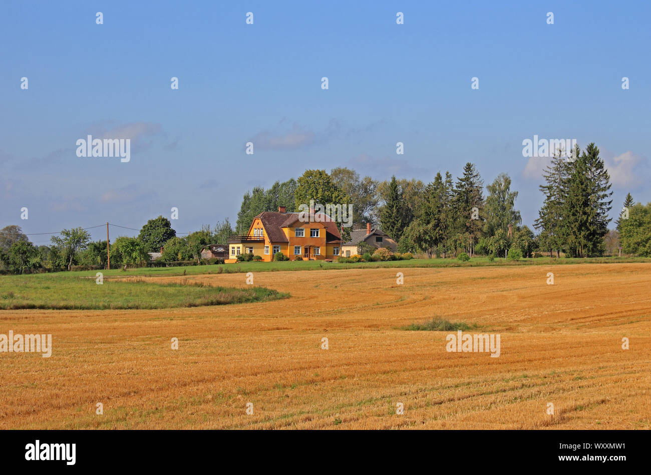Paesaggio rurale, Lettonia Foto Stock