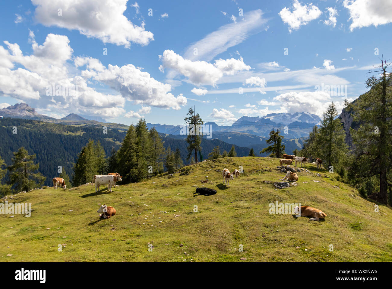 Bellissima vista sulle Dolomiti, patrimonio mondiale dell UNESCO. Una catena montuosa situata nel nordest d'Italia. Foto Stock