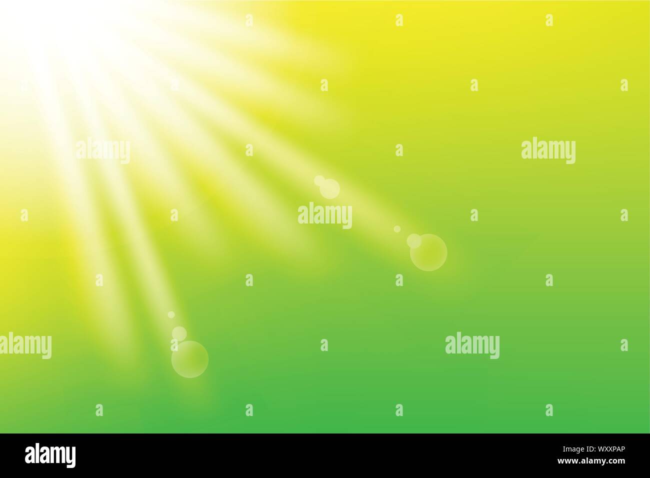 Fresco verde dello sfondo con la luce solare Illustrazione Vettoriale