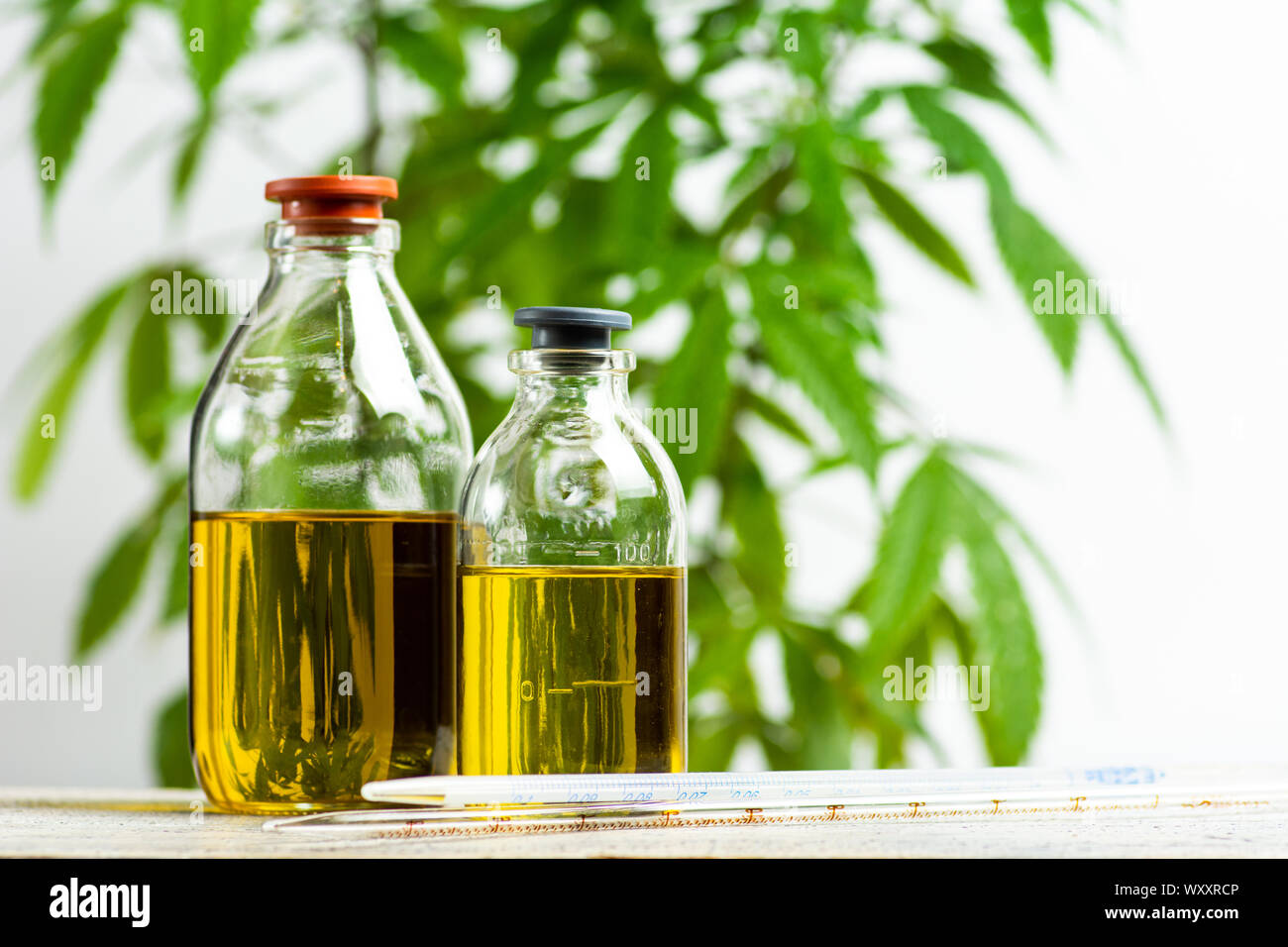 Olio di cannabis e marijuana leafs close up Foto Stock