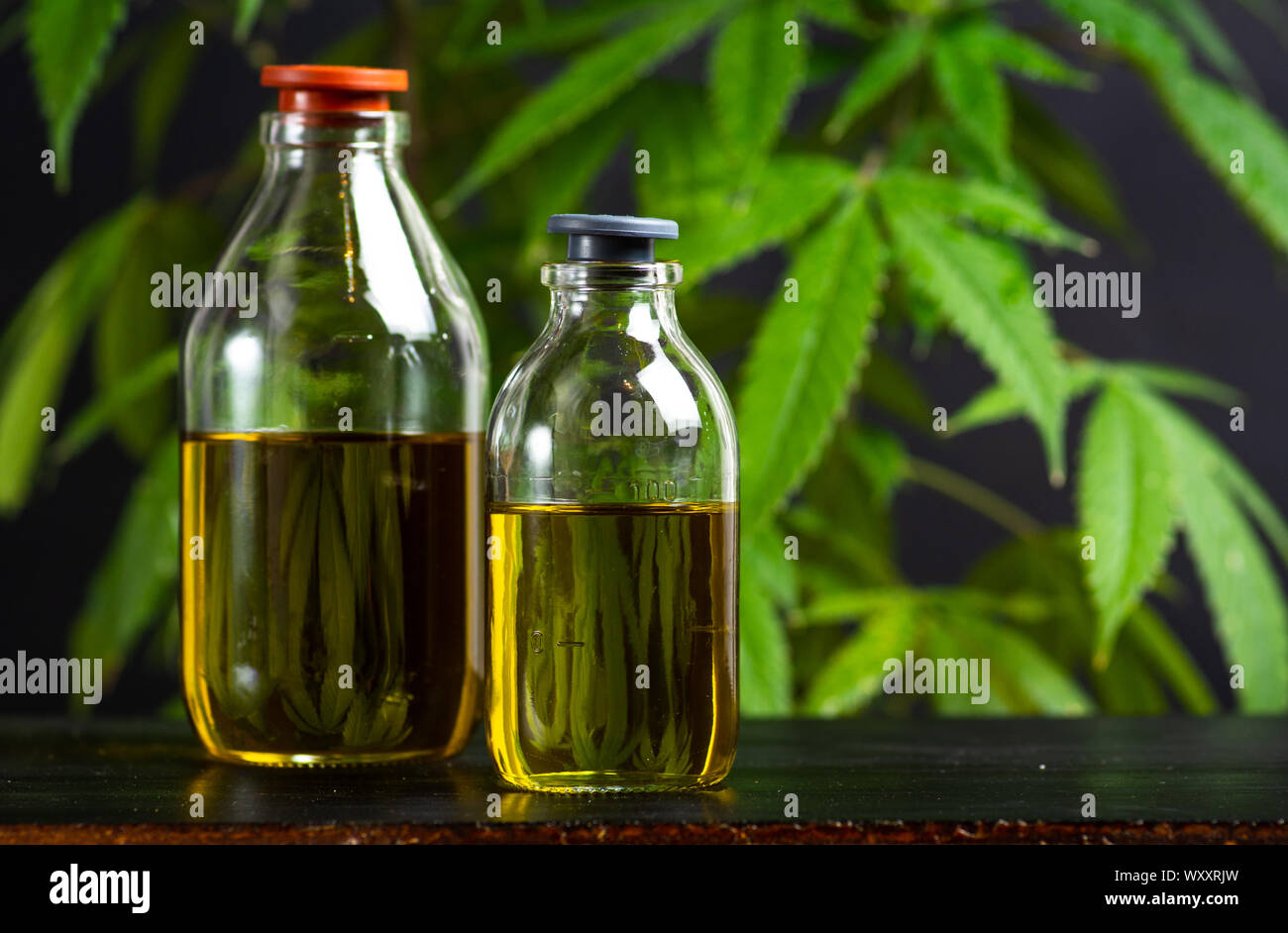 Olio di cannabis e marijuana leafs close up Foto Stock