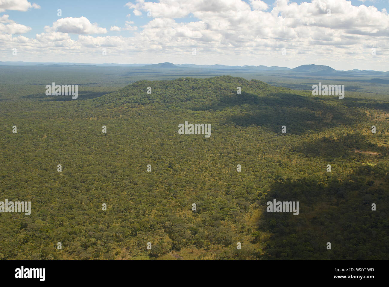 Deserto remoto di boschi della Tanzania Foto Stock