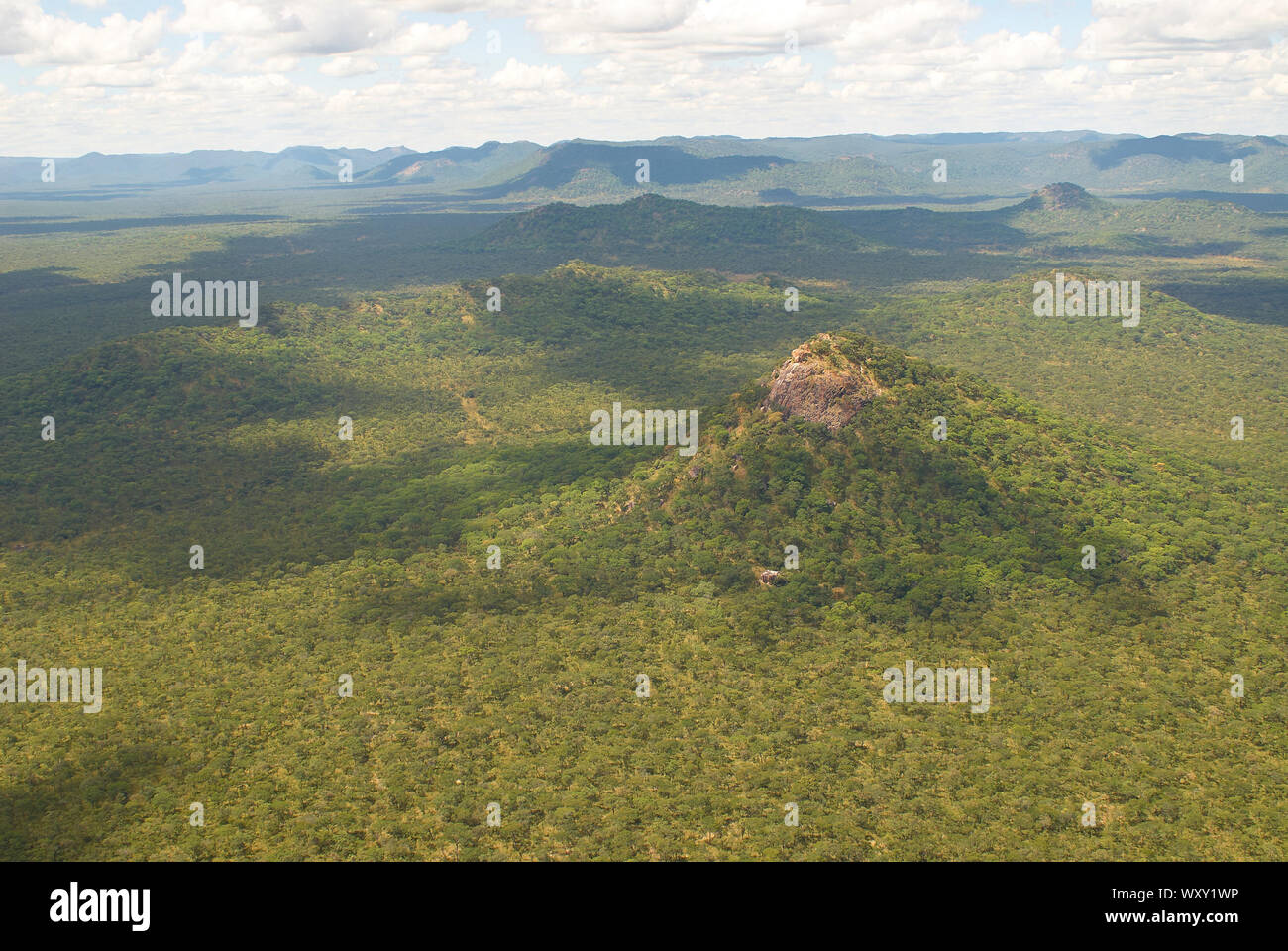 Deserto remoto di boschi della Tanzania Foto Stock