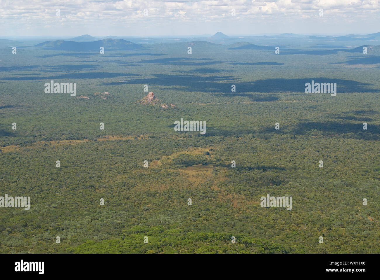 Deserto remoto di boschi della Tanzania Foto Stock