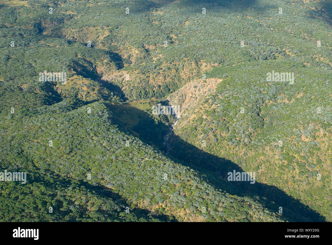 Deserto remoto di boschi della Tanzania Foto Stock