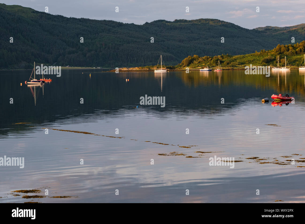 Loch Carron dal villaggio di Lochcarron, Wester Ross, Highlands della Scozia. Barche e yacht con Slumbay isola. Foto Stock