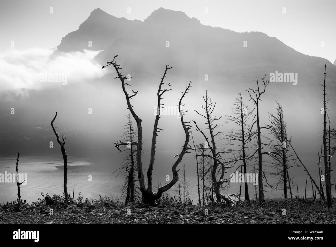 Lago di Waterton, paesaggio del Parco Nazionale dei laghi di Waterton con cielo blu, Alberta, Canada Foto Stock
