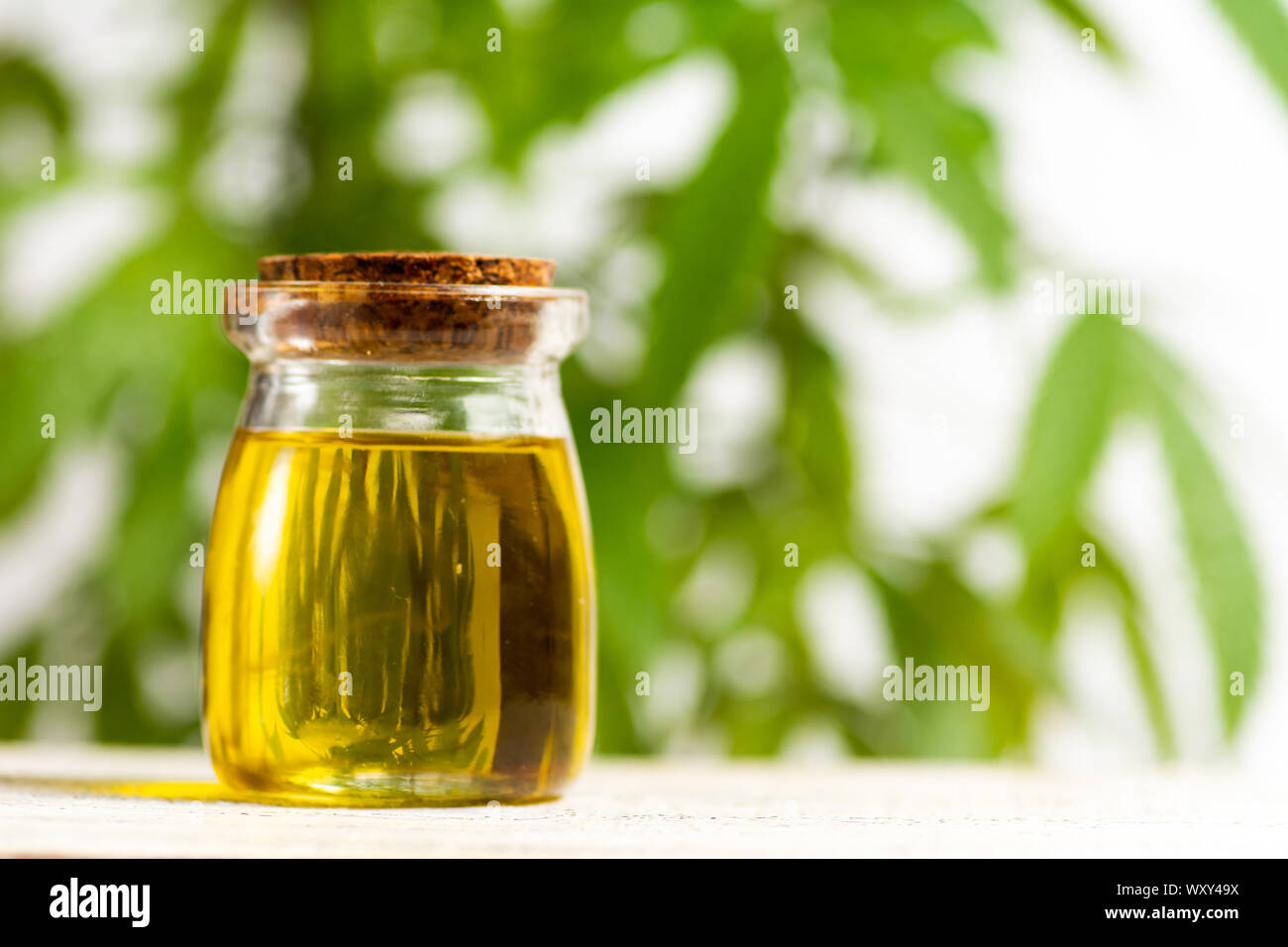 Olio di cannabis e marijuana leafs close up Foto Stock