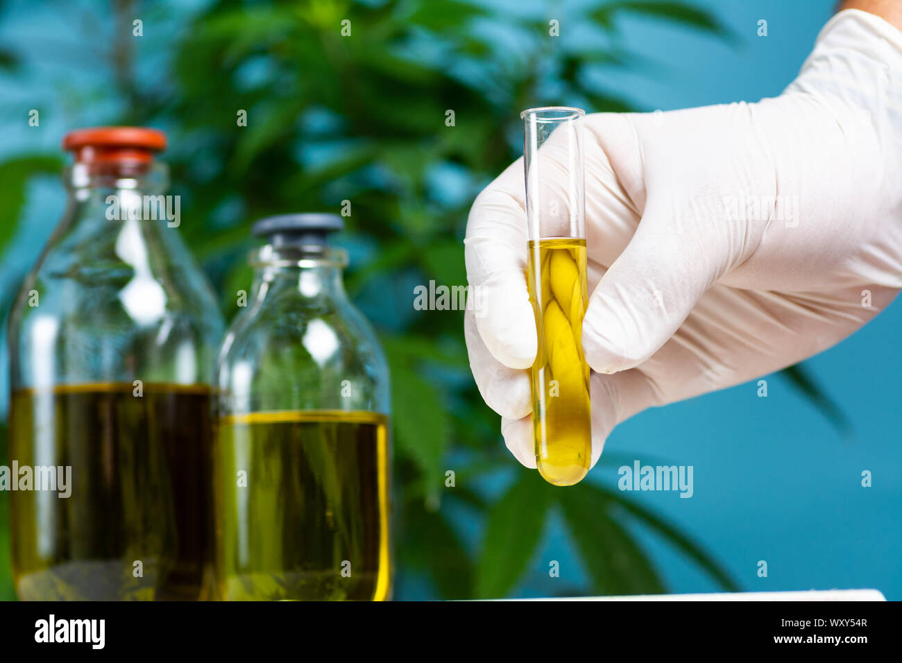 Scienziato azienda olio di cannabis vicino fino alla medicina alternativa abstract Foto Stock
