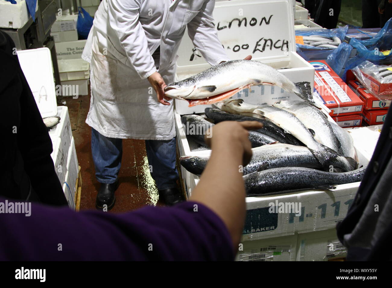 Gli operatori di mercato in un mercato del pesce in tutto il mondo occidentale. Moderno la mattina presto gli operatori nel mercato del Pesce di Billingsgate a Londra, Inghilterra, Regno Unito. Produrre frutti di mare dalla Scozia, Galles, Irlanda, Inghilterra, UNIONE EUROPEA E RESTO DEL MONDO. Il commercio internazionale. Le piccole imprese. Il baratto. La negoziazione. Arte della trattativa. Nessuna trattativa. Trattativa. Le masse di risorse. Gli stock ittici. Foto Stock