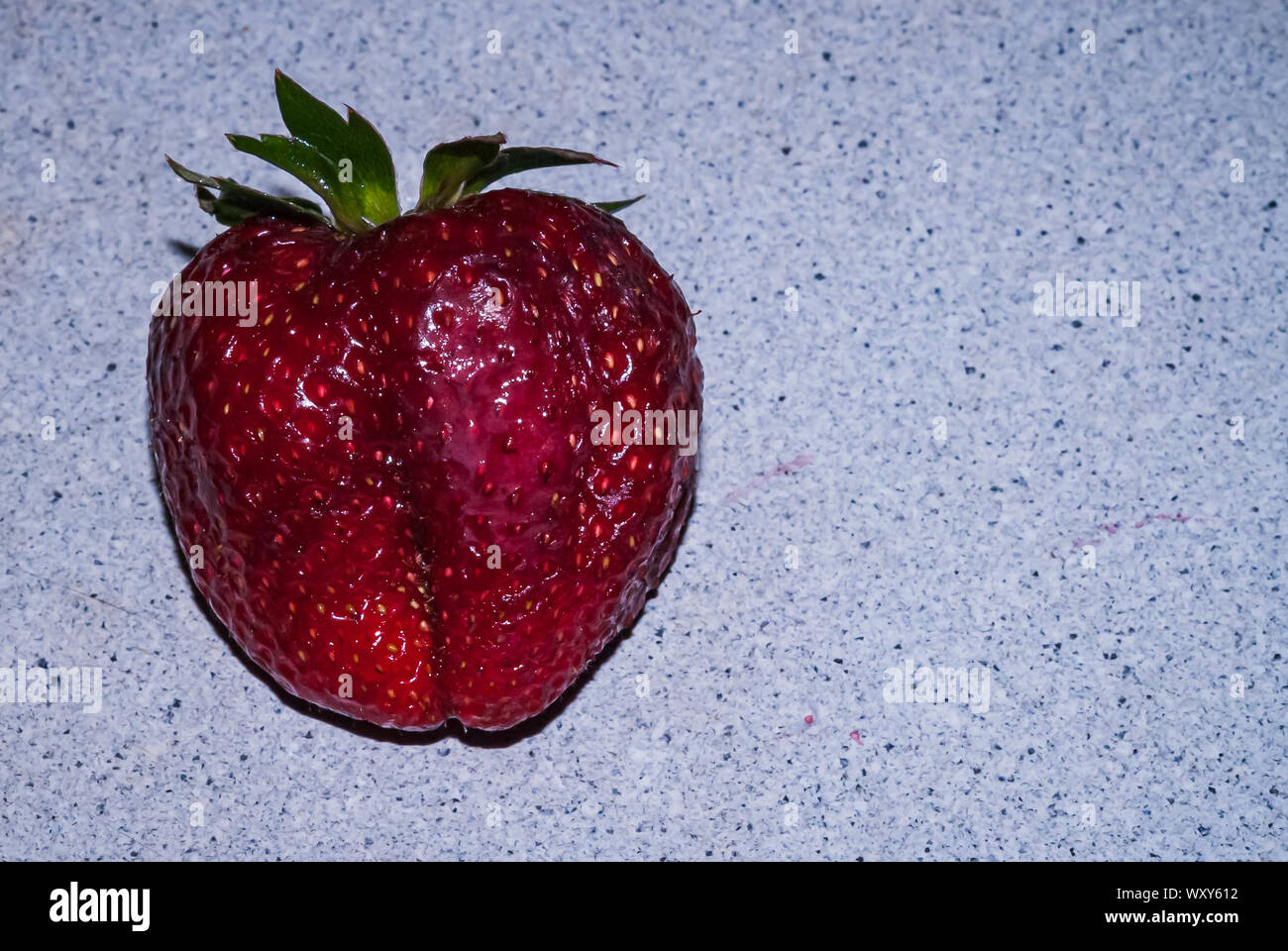 Bella fragola isolati su uno sfondo grigio, close up, macro. Foto Stock