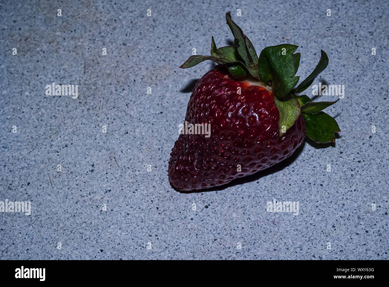 Bella fragola isolati su uno sfondo grigio, close up, macro. Foto Stock