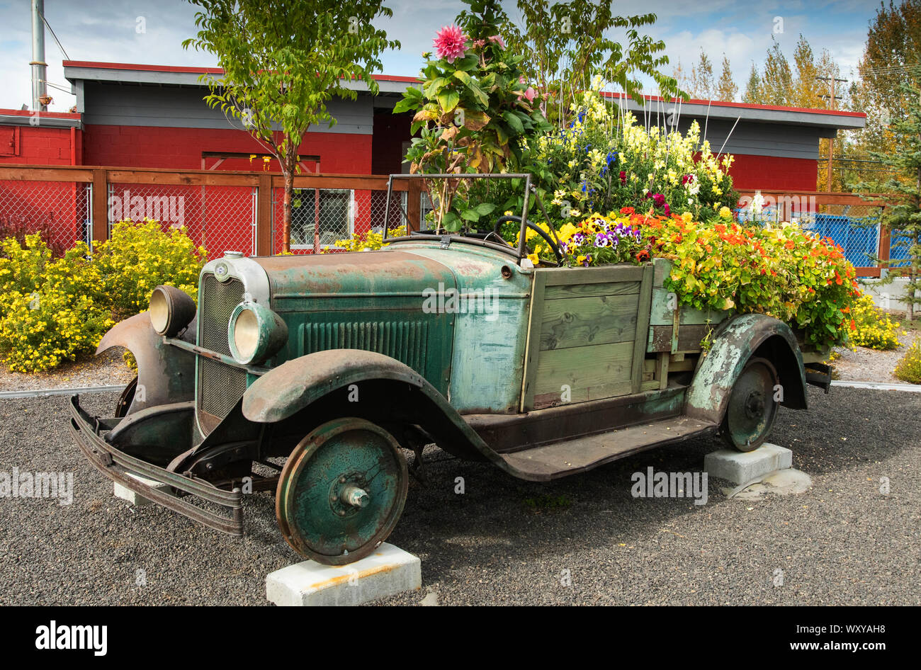 Nord America; Stati Uniti; Alaska; Fairbanks; arte pubblica; il vecchio carrello; fiori in mostra Foto Stock