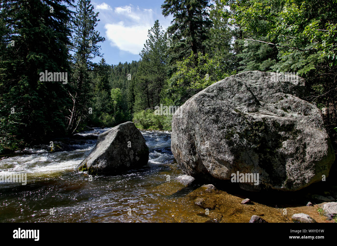 South Boulder Creek è un popolare escursionismo e pesca con la mosca destinazione in Walker Ranch spazio aperto in Crescent, Colorado. Foto Stock