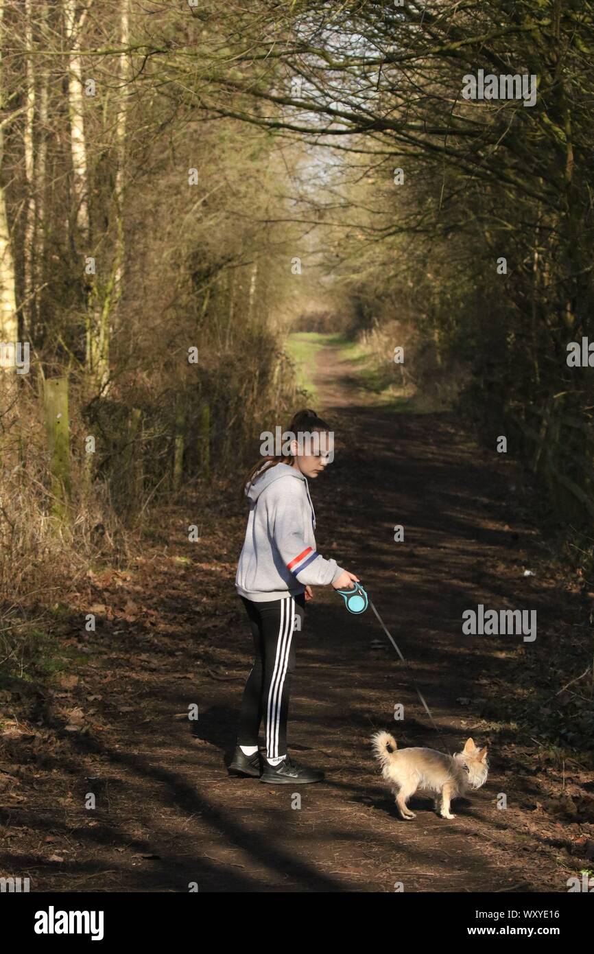 Ragazza camminare cane Foto Stock