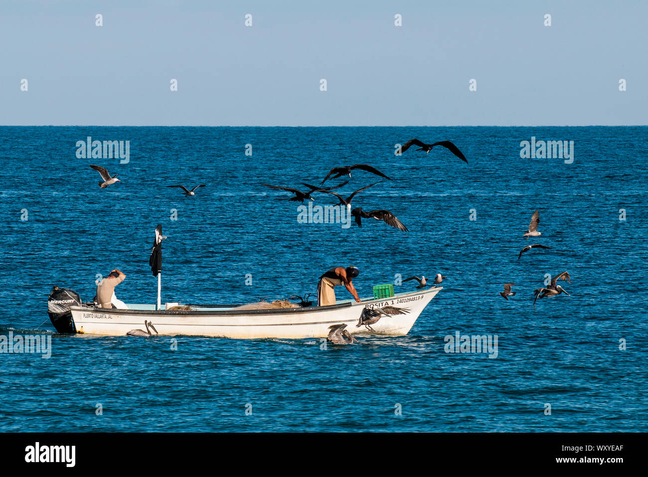 Pescatori in barca a Puerto Vallarta, Jalisco, Messico. Foto Stock