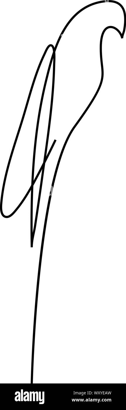 Una linea design parrot silhouette. Disegnata a mano in stile minimalista. Illustrazione Vettoriale Illustrazione Vettoriale