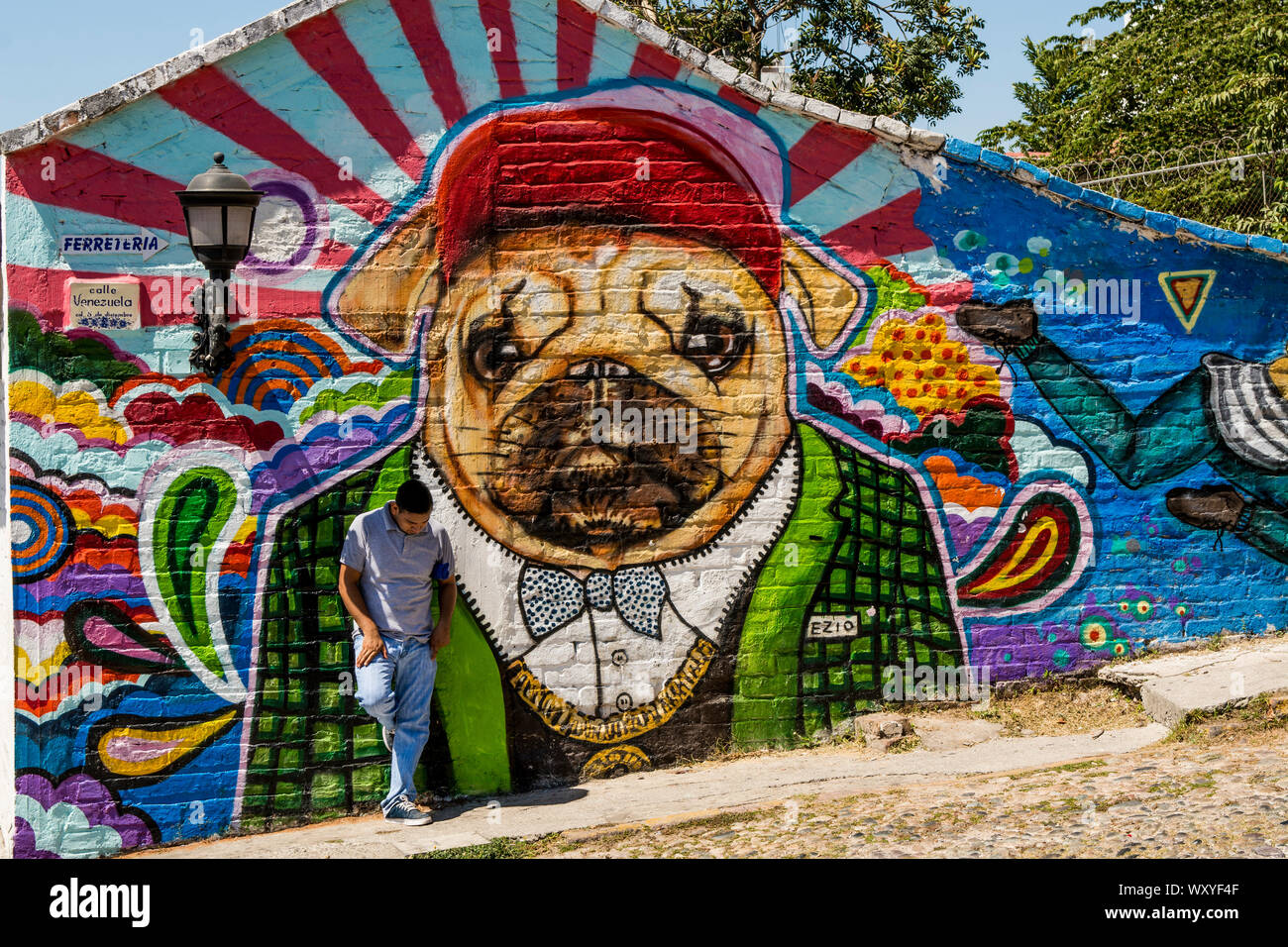 Graffiti da parete, Puerto Vallarta, Jalisco, Messico. Foto Stock
