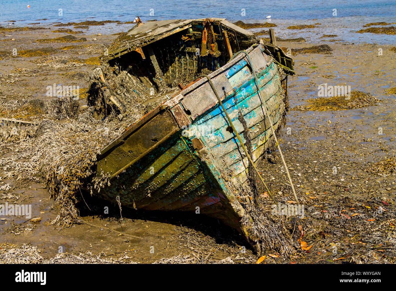 Naufragio di clinker di legno costruite barca marciume lontano nel fango di un estuario Foto Stock