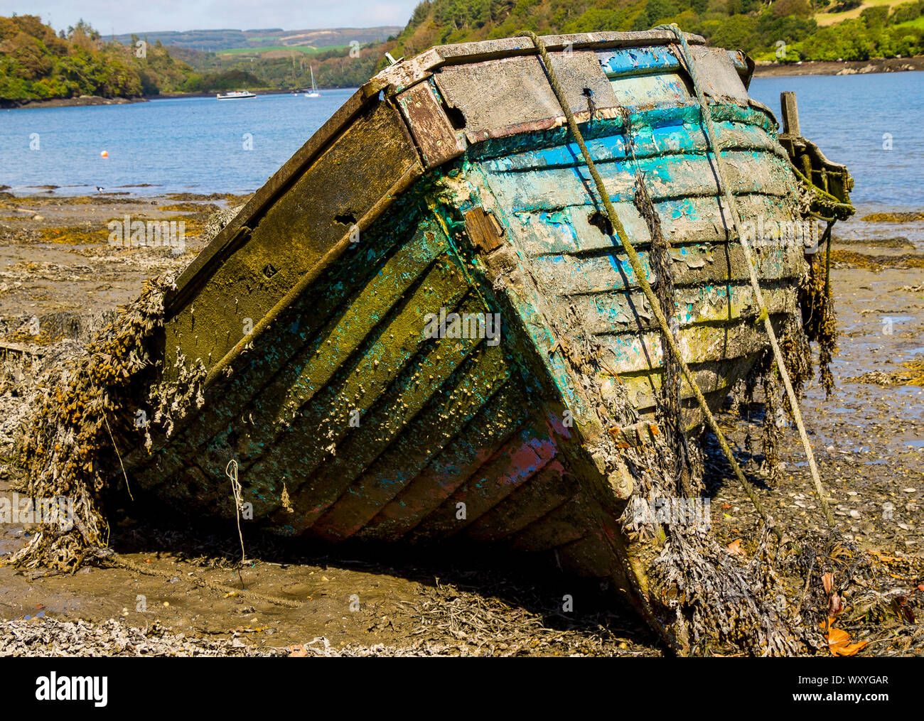 Naufragio di clinker di legno costruite barca marciume lontano nel fango di un estuario Foto Stock