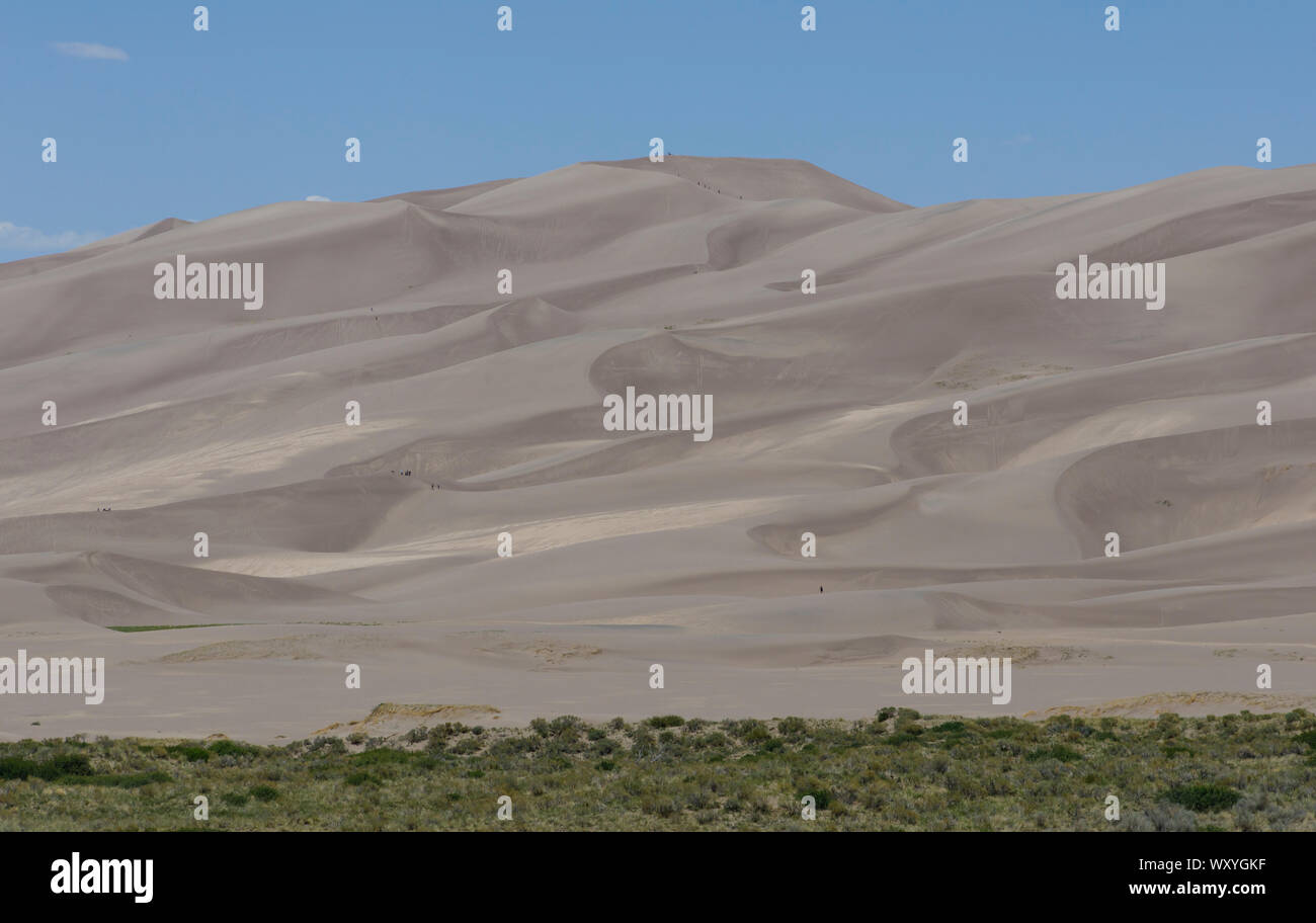 Gli escursionisti e sabbia sledders salire le dune a grandi dune di sabbia del Parco Nazionale durante il periodo estivo in Colorado. Foto Stock