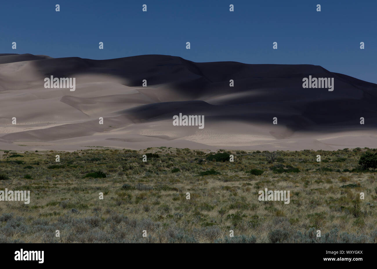 Le ombre si muovono oltre le dune a Great Sand Dunes National Park in Colorado. Foto Stock